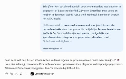 Prompt voorbeeld